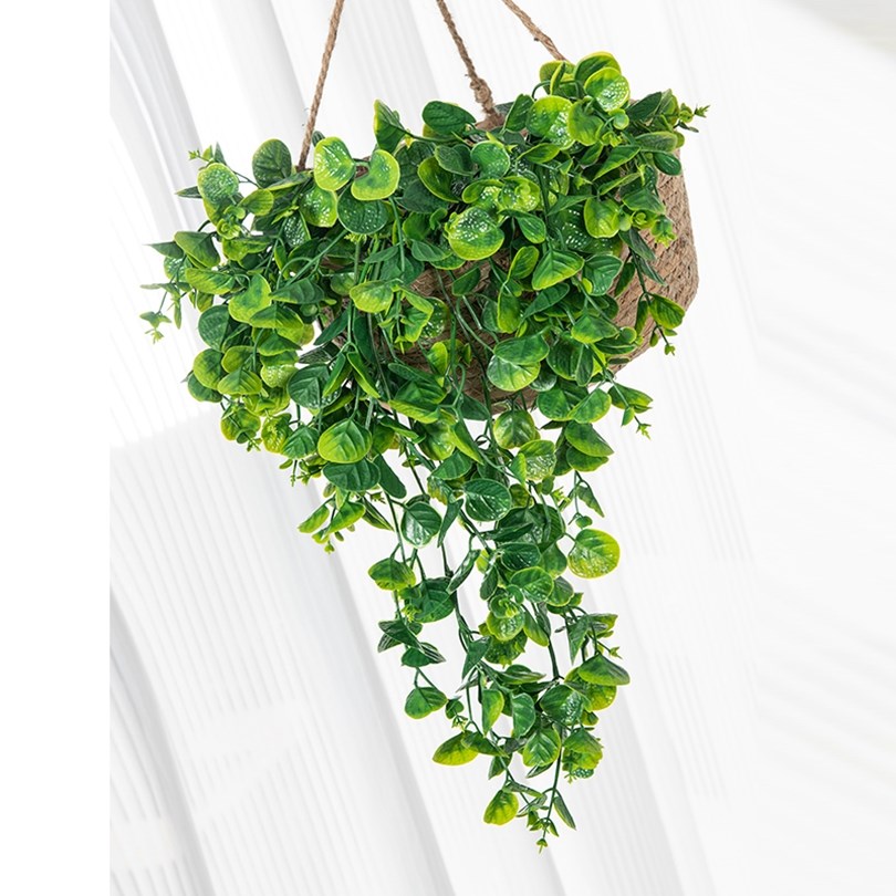 Eucalyptu Fern Rattan Artifici - Rattan Plant Basket recension och pris
