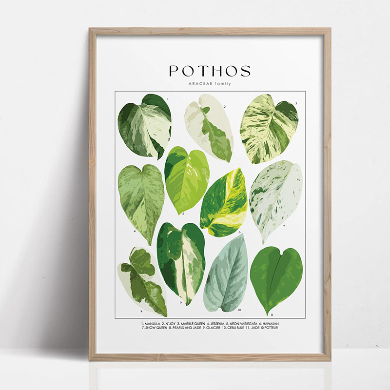 1pc Modern Houseplants Leaves  - Home Decor Design Interior recension och pris