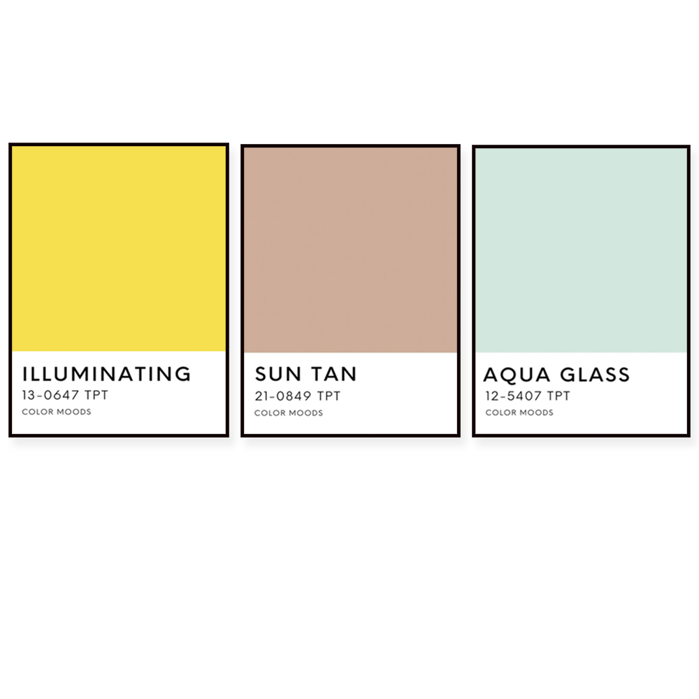Sunshine state palette color p - Home Decor Color Palettes recension och pris